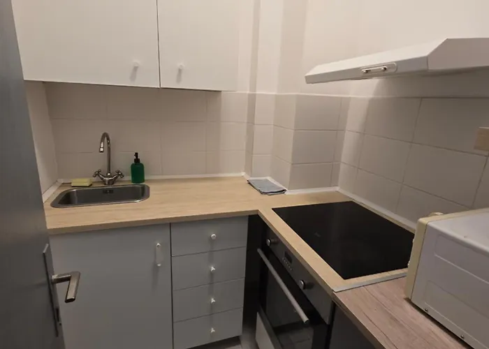 Apartment Ap 21 Edgar Quinet- Piata Universitatii *